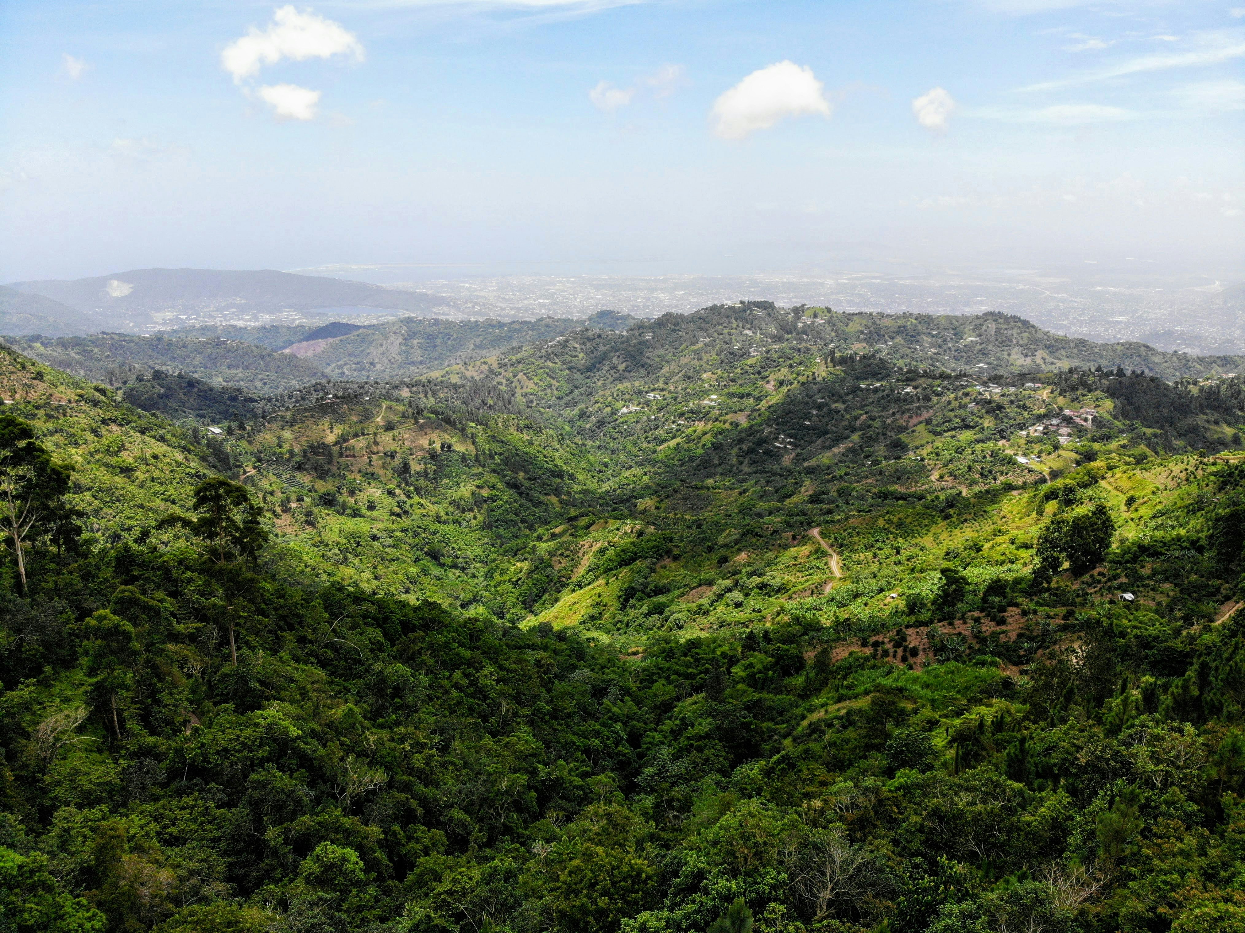 Project Jamaica